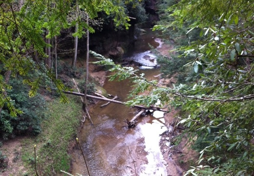 Clifty Wilderness  - 04